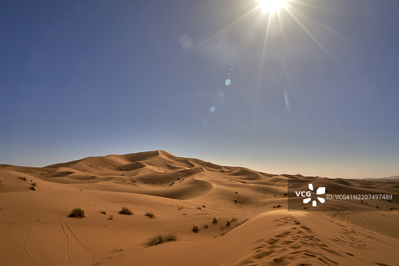 令人惊叹的骆驼队在摩洛哥沙漠日落时分的旅程，阳光洒在沙丘上。图片素材