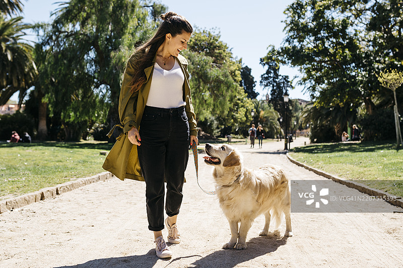 快乐的女人在城市公园里遛她的拉布拉多猎犬图片素材