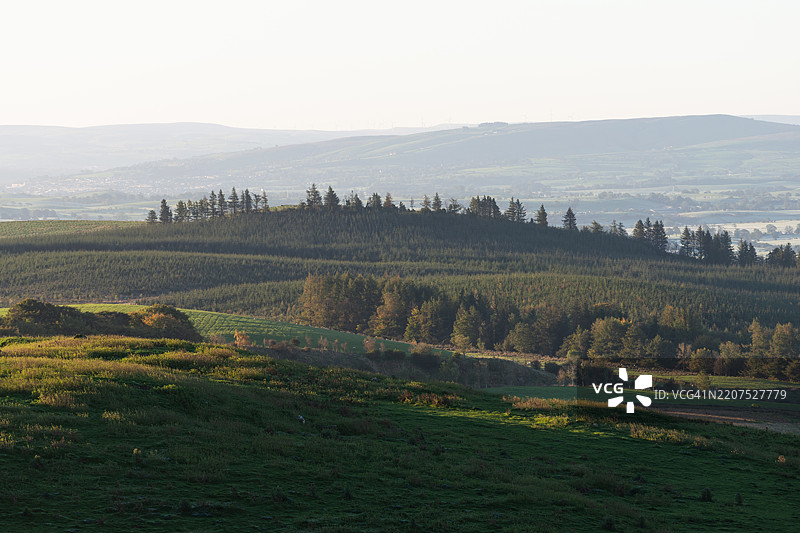 北约克郡的森林图片素材