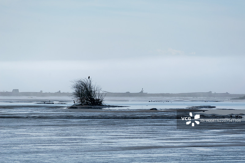 Fir Island Farm Reserve是一个游戏保护区,拥有超过200英亩的恢复潮间带湿地和管理农业用地,位于斯卡吉特县西南部。图片素材