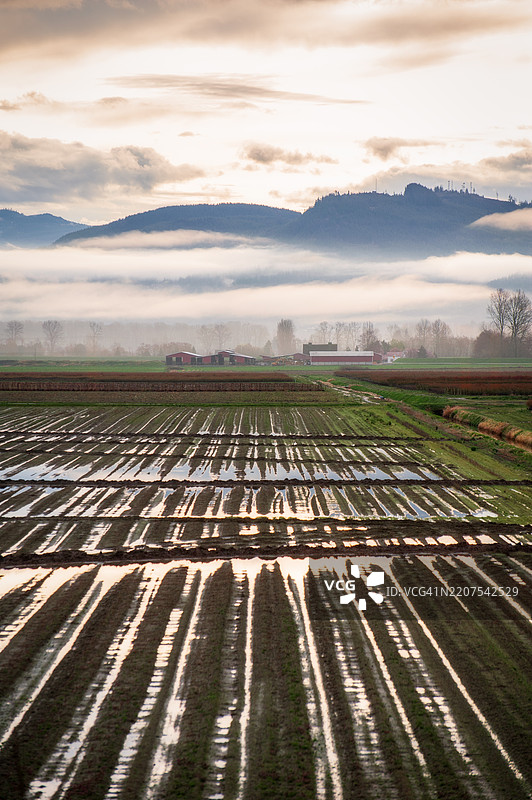 雾蒙蒙的早晨，春季播种前被淹没的农田。图片素材