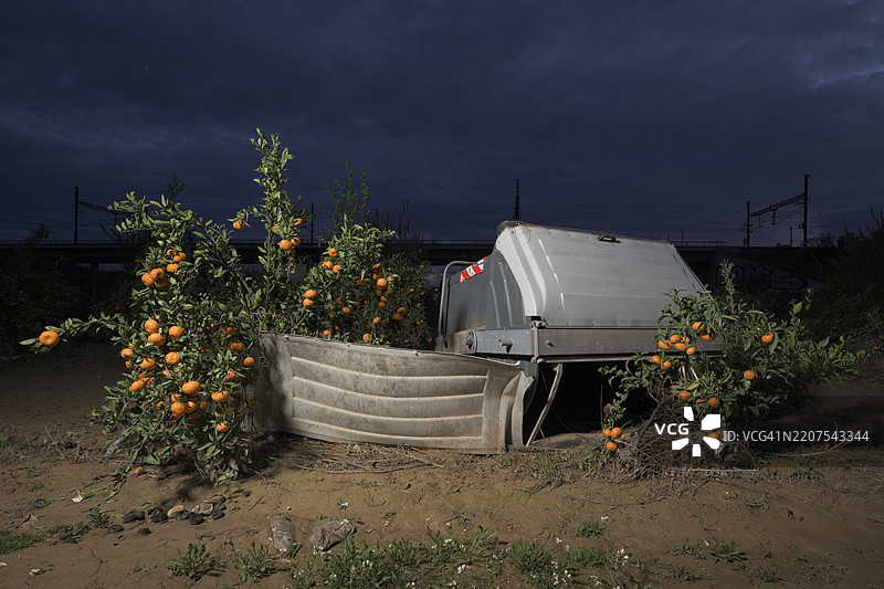 洪水过后橙子园中的大型垃圾容器图片素材
