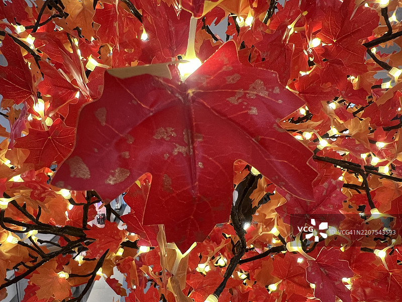 秋天的落叶背景图片素材