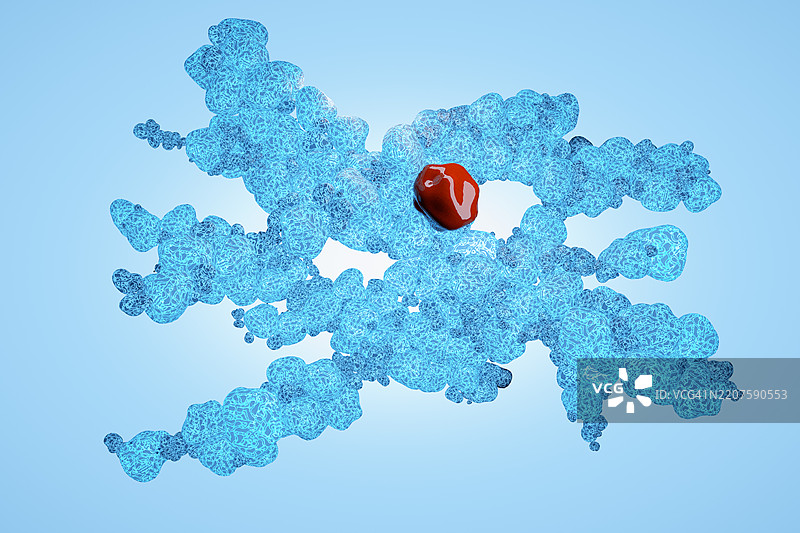 人类系统中的蛋白质细胞概念图片素材