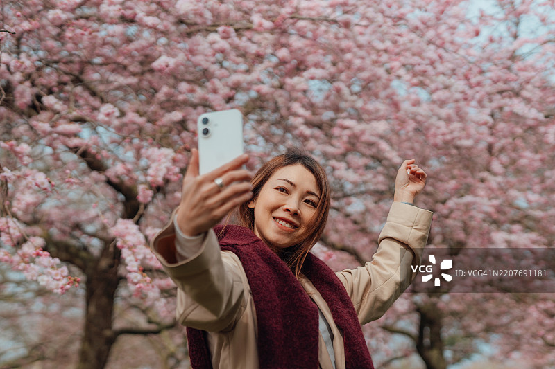 亚洲女性旅行博主在樱花树下用智能手机录制内容图片素材