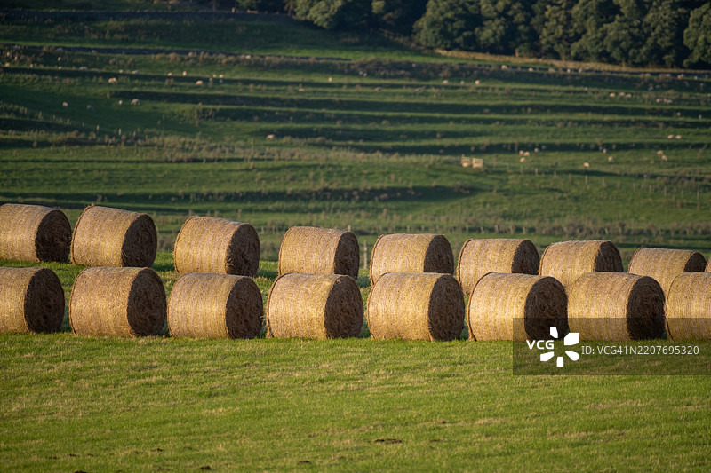 一排干草堆图片素材