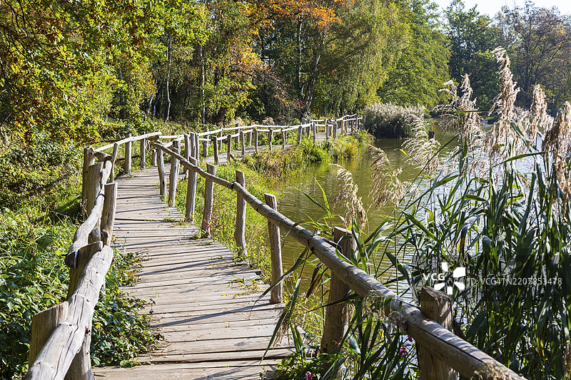 科宁斯布吕克海德友谊湖的木板小道，位于萨克森州的比伯小径徒步旅行路线，德国，欧洲图片素材