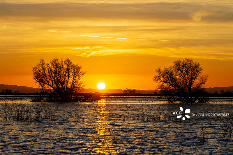 梅塞德野生动物保护区的日落图片素材
