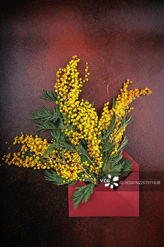 春季花卉贺卡，搭配含羞草和红色信封图片素材