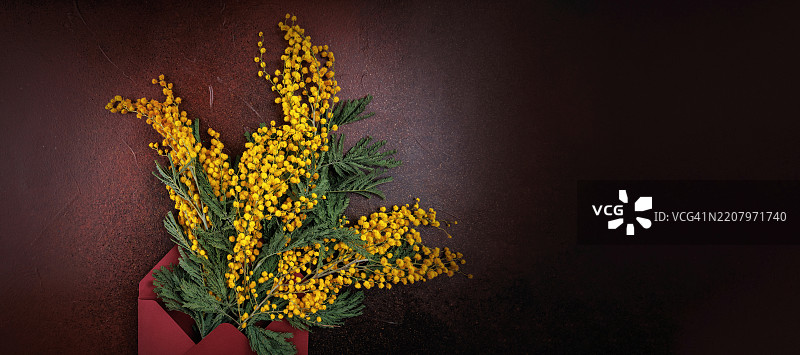 红色信封中的黄色含羞草花，背景为乡村风格图片素材