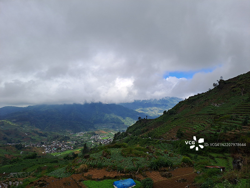 爪哇山区的梯田农田图片素材