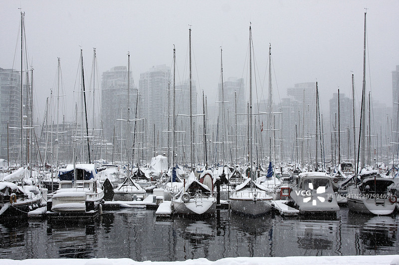冬季的码头图片素材