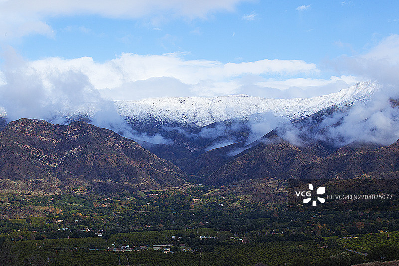 加州奥海的橙子果园与白雪皑皑的山脉 - 系列的一部分图片素材