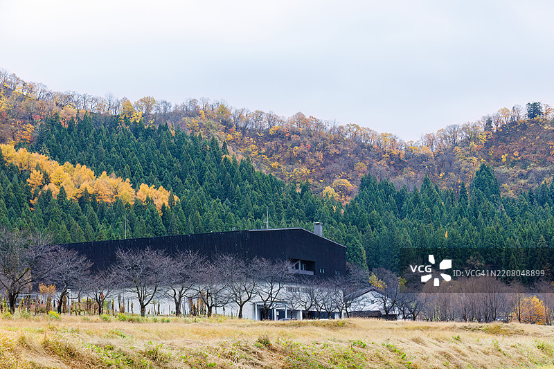 新潟山脚下的秋叶和乡村风景。稻田之外，可以看到一座山脉。图片素材