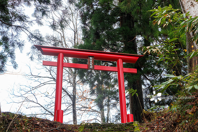 苔藓覆盖的石阶和红色的鸟居。山中的一个小神社。图片素材