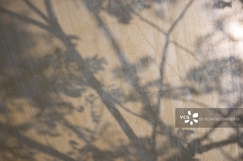 树的阴影投射在棕褐色的帆布阳光保护伞上图片素材