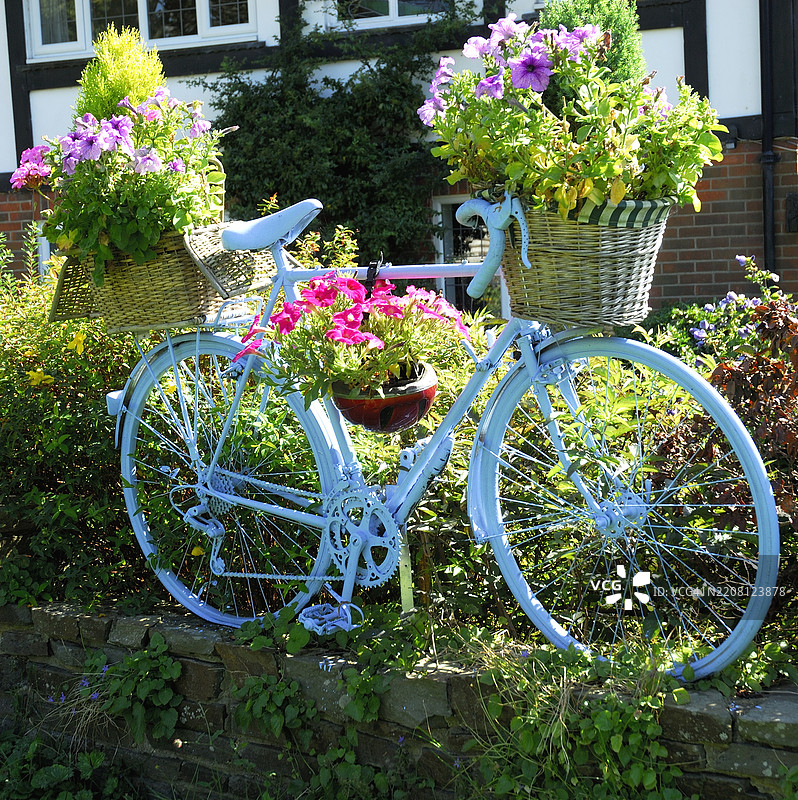 蓝色自行车上和周围长满植物。图片素材