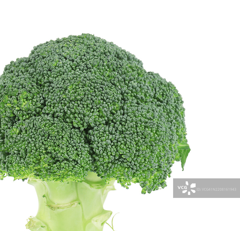 白色背景下的西兰花特写图片素材