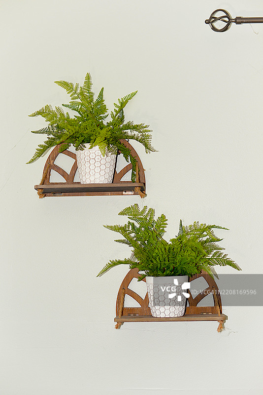 假植物装饰图片素材