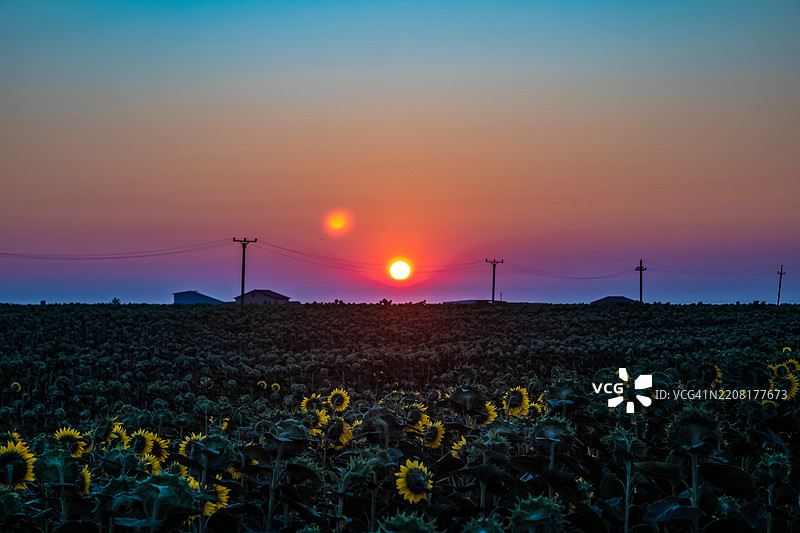 日落时分，天空映衬下的田野美景图片素材