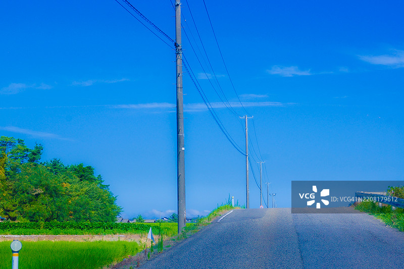 蓝天映衬下树木间的空旷道路图片素材