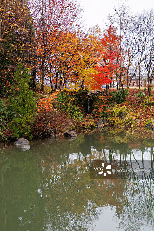 寺庙旁的公园。池塘边有一个小瀑布。秋天的落叶正好适合这个季节。图片素材