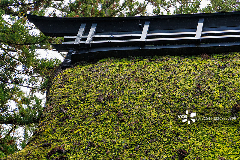 一扇覆盖着苔藓的宏伟大门。当时正在施工中。图片素材