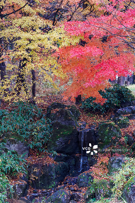 寺庙旁边的公园。池塘边有一个小瀑布。秋天的落叶正好适合这个季节。图片素材