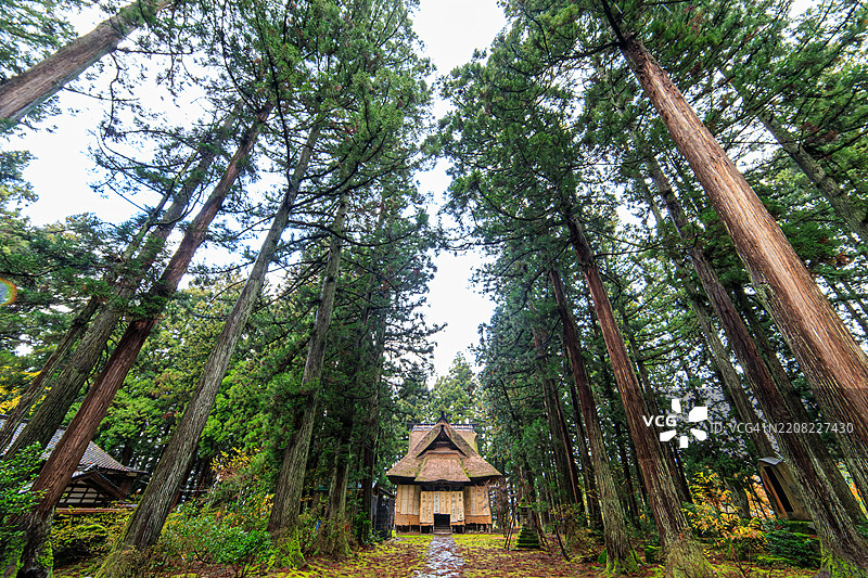 宏伟的主厅位于一片雪松森林中。它覆盖着由稻草和布料制成的雪盖,以保护木材免受雪的侵害。捐赠者的签名也写在上面。图片素材
