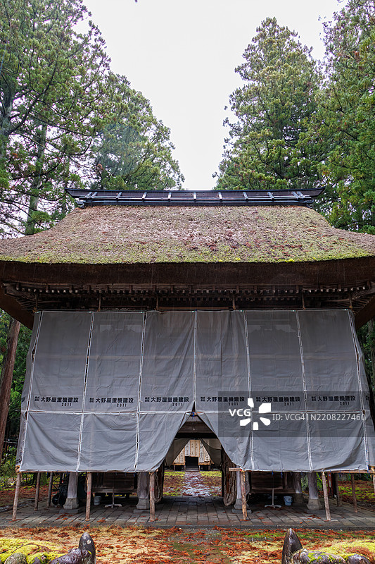 一扇覆盖着苔藓的宏伟大门。当时正在施工中。图片素材