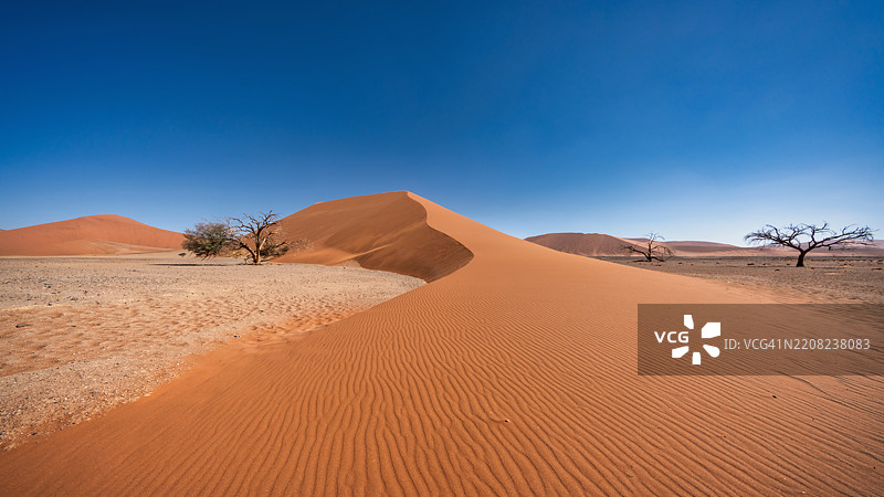 纳米比亚沙丘45号塞斯里姆全景巨型沙漠沙丘超广角图片素材