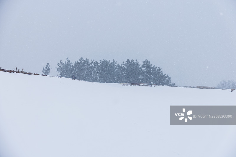 鸟取沙丘在大雪中，暴风雪的世界图片素材