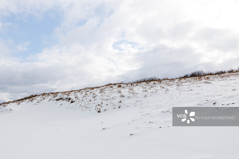 鸟取沙丘在大雪中，暴风雪的世界图片素材