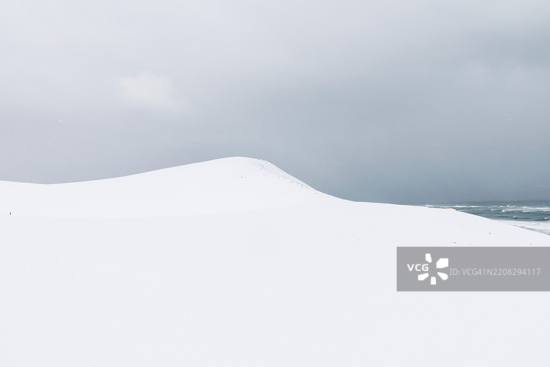 鸟取沙丘在大雪中，暴风雪的世界图片素材