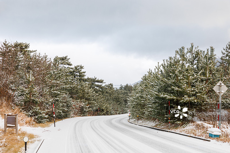 日本鸟取的清晨被雪覆盖的道路图片素材