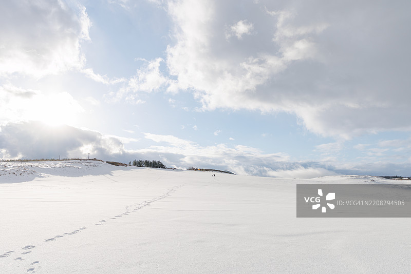 鸟取沙丘在雪中，蓝天和美丽的云朵，清晨的纯净雪景图片素材
