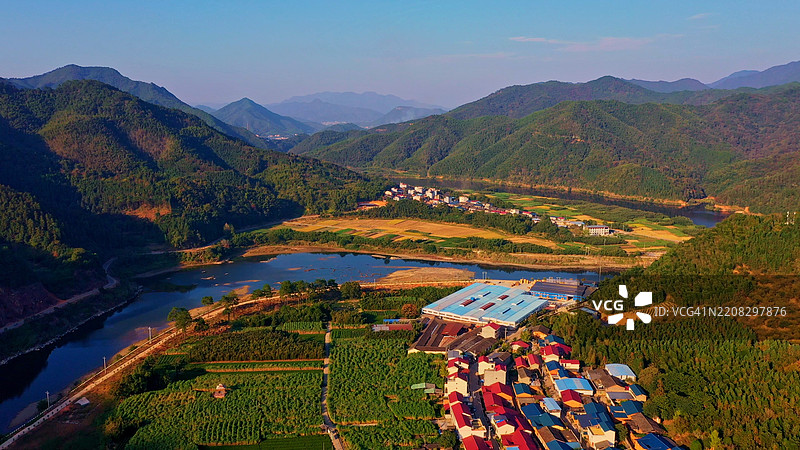 百年甘蔗，甘蔗林，福建省南平市松溪县，中国，亚洲。图片素材