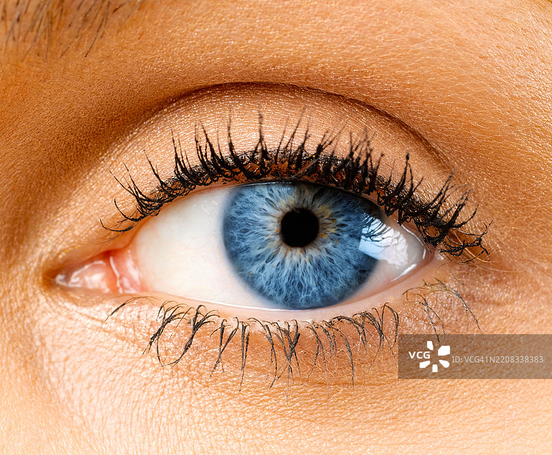 眼睛特写。图片素材