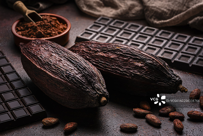 两个棕色可可豆荚、可可豆、可可粉和黑巧克力棒图片素材