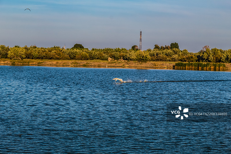 湖泊的美丽景色图片素材