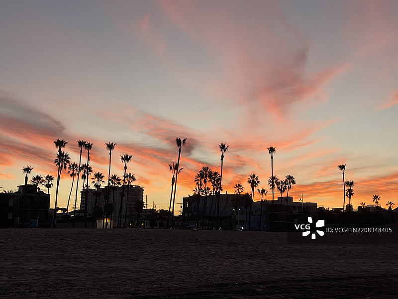 洛杉矶，加利福尼亚州，美国，海滩上棕榈树上空的橙色和黄色的早晨日出光芒图片素材