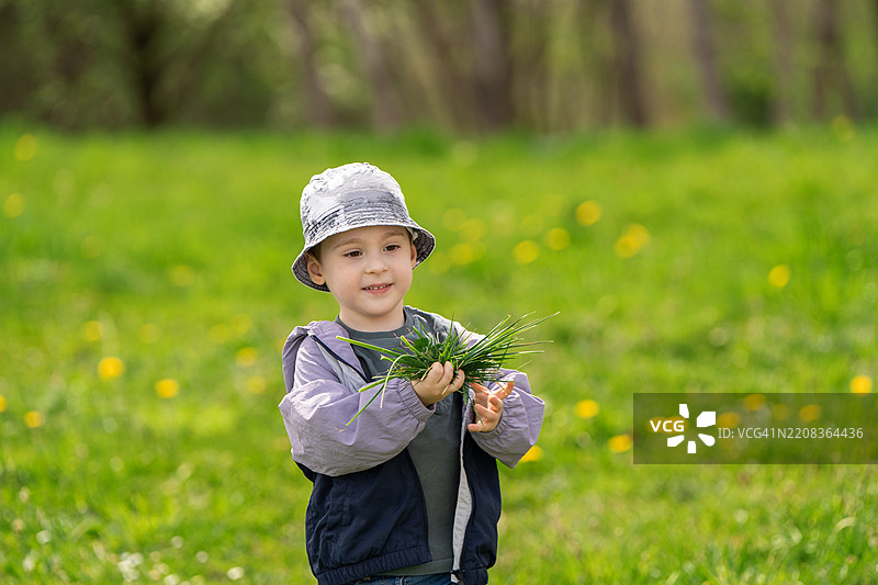 一个快乐可爱的三岁白人男孩在蒲公英花海中站着，手里拿着新鲜的绿色草。童年与自然。图片素材