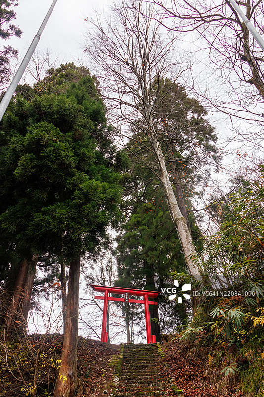 苔藓覆盖的石阶和红色的鸟居。山中的一个小神社。图片素材