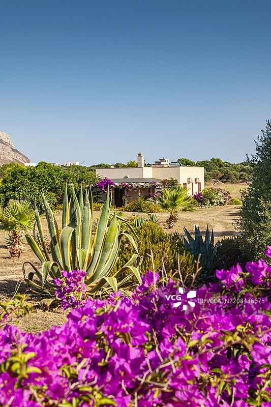 西西里岛，法维尼亚岛，美丽的别墅图片素材