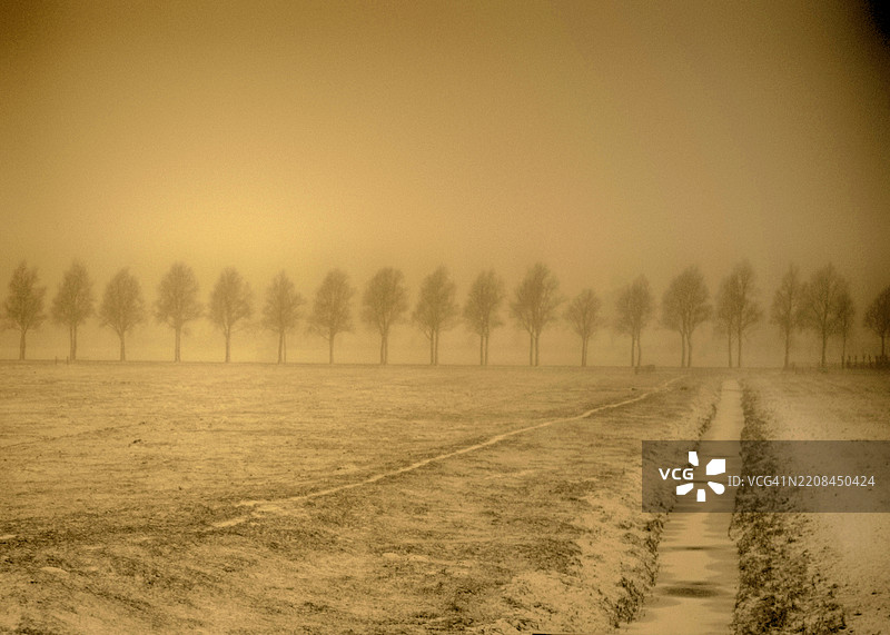 荷兰的棕褐色树木和被雪覆盖的运河。图片素材