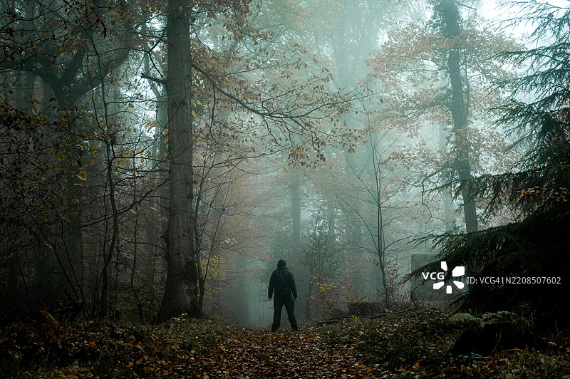 一个神秘的雾霭冬季森林中的阴森兮兮的披风人物。图片素材