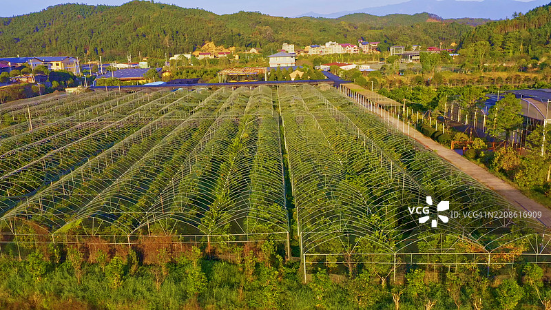 农业温室的航拍摄影，田野风光，南平，福建，中国，亚洲。图片素材