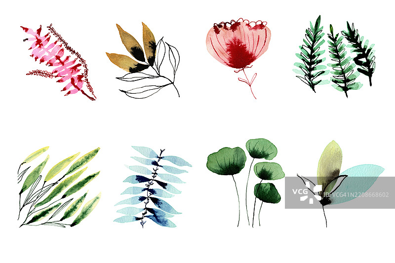 水彩和墨水绘制的抽象花卉和叶子的组合图片素材