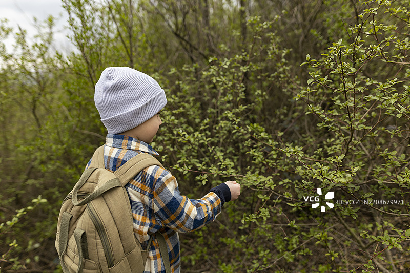 幼儿在树林中探索树叶的纹理图片素材