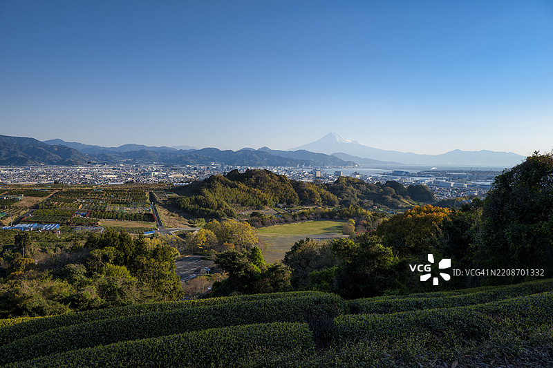富士山与静冈市的茶园和清水港图片素材